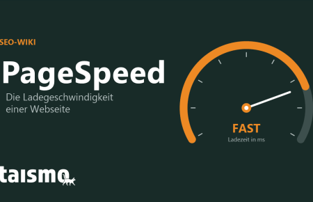 PageSpeed erklaert: die Ladegeschwindigkeit einer Webseite als Tachometer-Grafik in taismo-CI-Farben